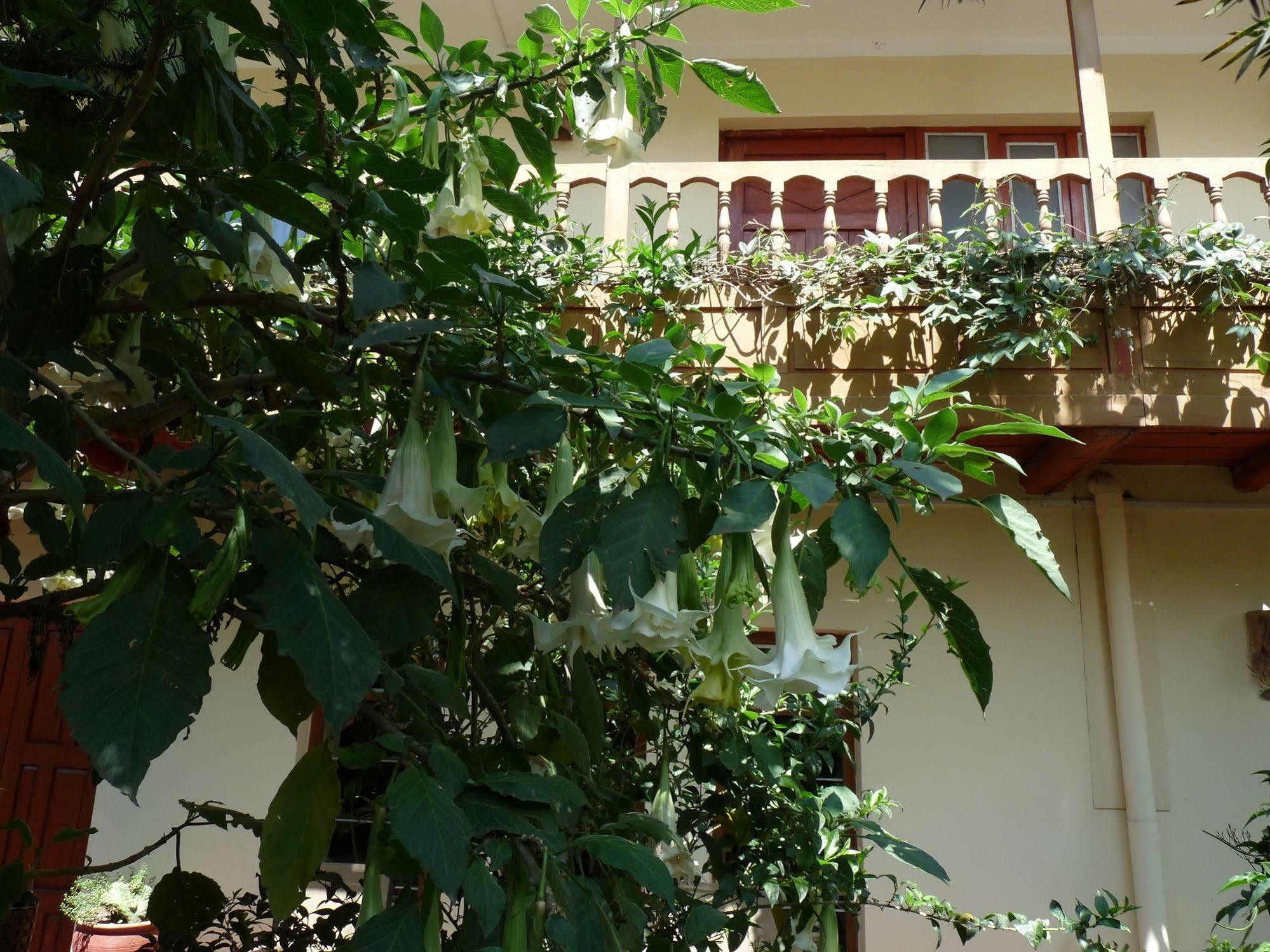 Kukuli Lodge B&B Cuzco Zewnętrze zdjęcie